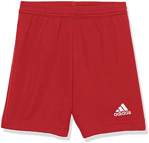 adidas unisex-child Entrada 22 Training Shorts