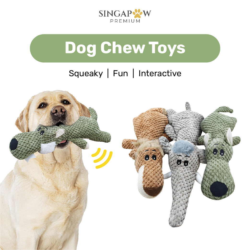 Singapaw Big Squeaky Chew Soft Toy for Dogs / Teething Dog / Dog Stuffed Toy / For Medium & Big Dogs